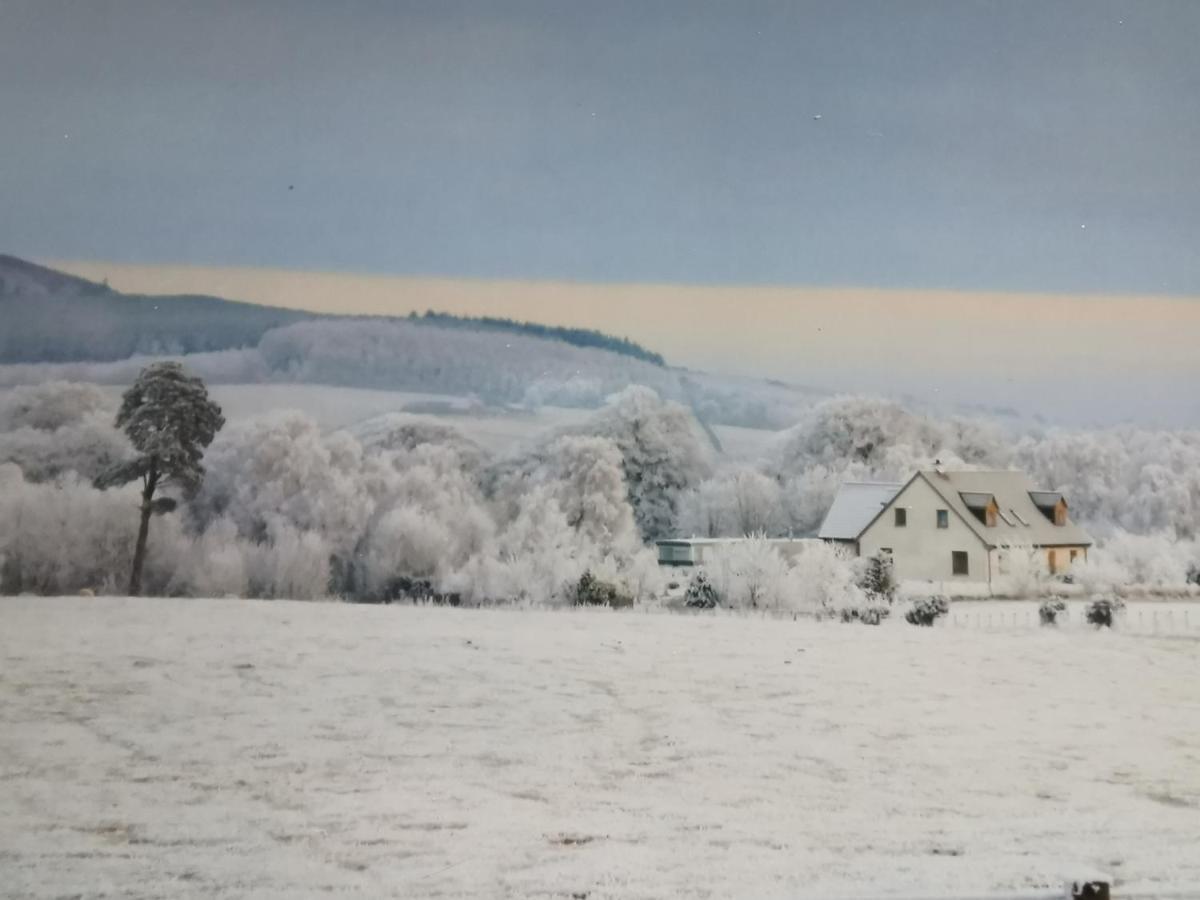 フォートローズ Hillhaven Bed &Breakfast Bed & Breakfast エクステリア 写真