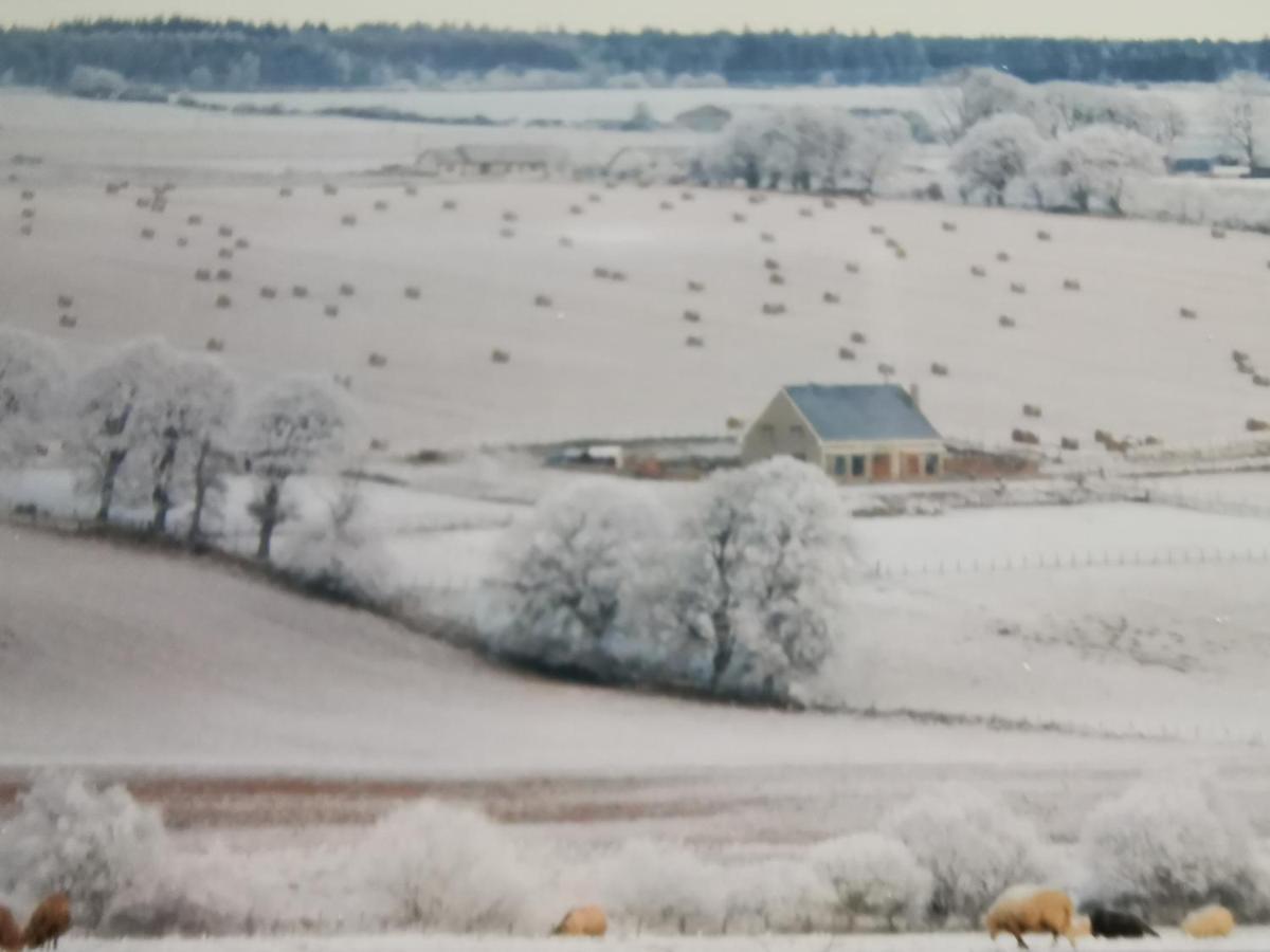 フォートローズ Hillhaven Bed &Breakfast Bed & Breakfast エクステリア 写真